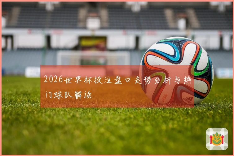 2026世界杯投注盘口走势分析与热门球队解读