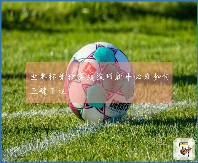 世界杯竞猜实战技巧新手必看如何正确下注