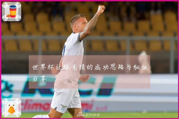 世界杯让球竞猜的成功思路与秘诀分享