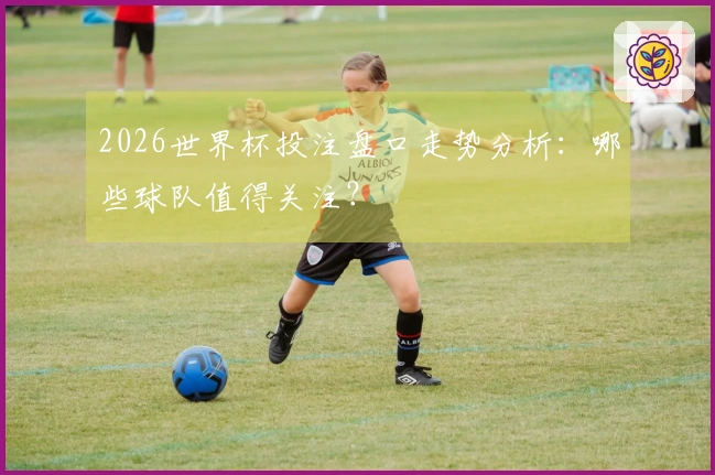 2026世界杯投注盘口走势分析：哪些球队值得关注？