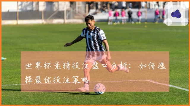 世界杯竞猜投注盘口分析：如何选择最优投注策略