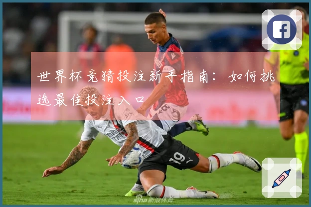 世界杯竞猜投注新手指南：如何挑选最佳投注入口