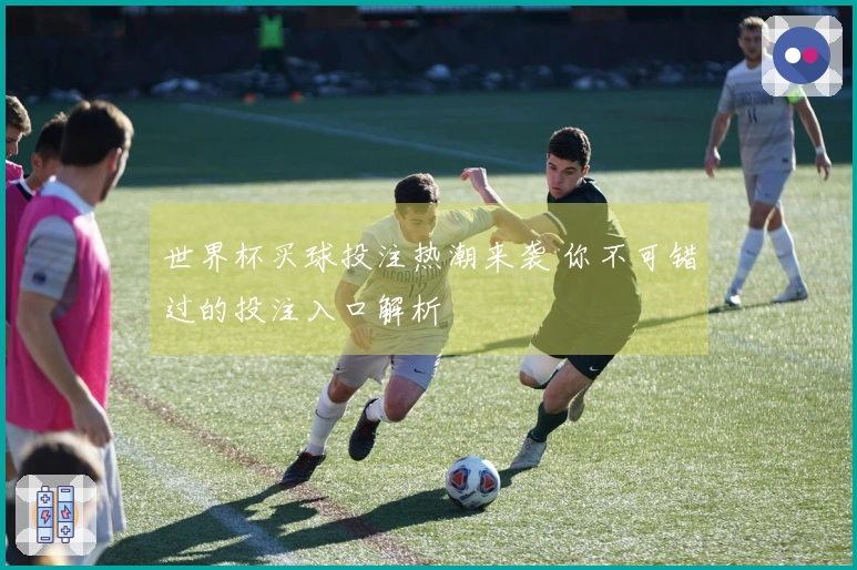 世界杯买球投注热潮来袭 你不可错过的投注入口解析
