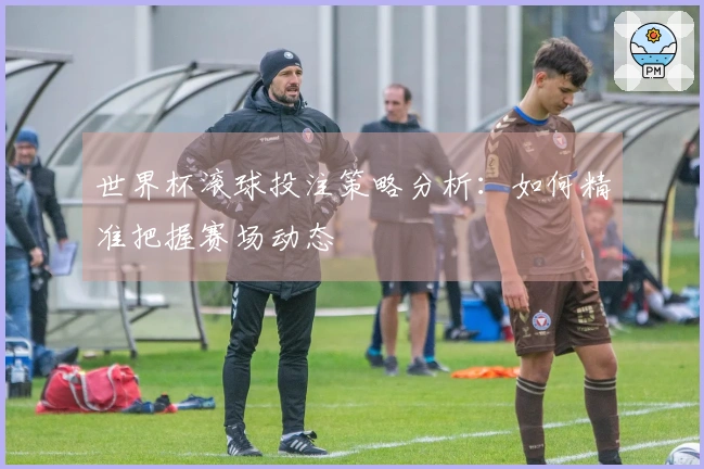 世界杯滚球投注策略分析：如何精准把握赛场动态
