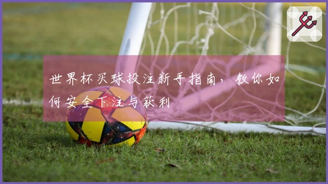 世界杯买球投注新手指南，教你如何安全下注与获利