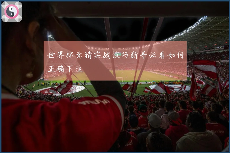 世界杯竞猜实战技巧新手必看如何正确下注